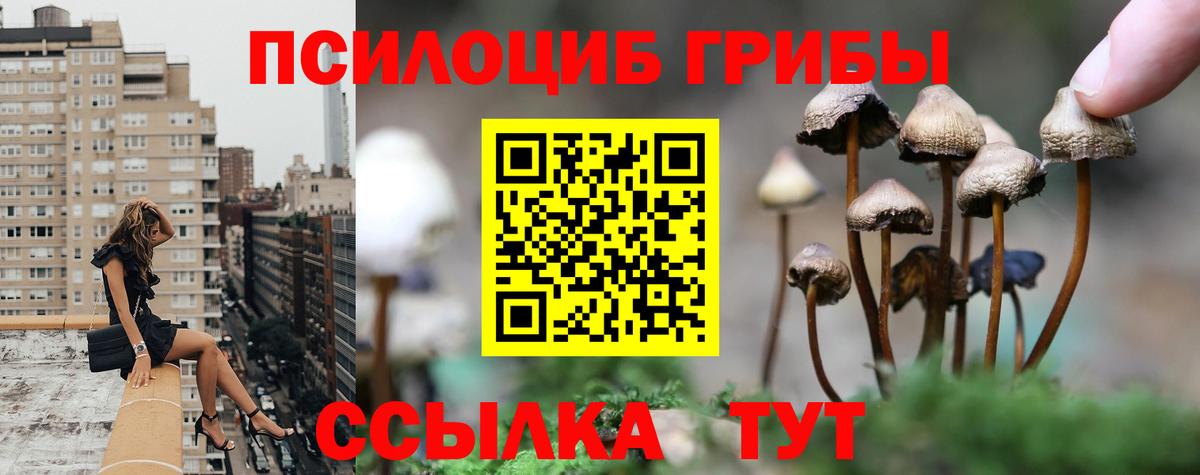 Галлюциногенные грибы GOLDEN TEACHER  Галлюциногенные грибы Cubensis  купить наркотики сайты  Кстово  Вход с VPN 